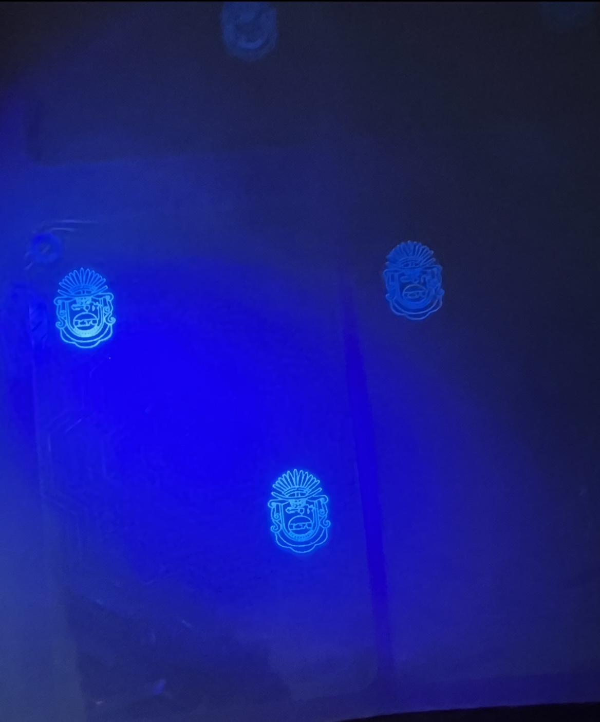 Holograma completo Guerrero Vertical H-409